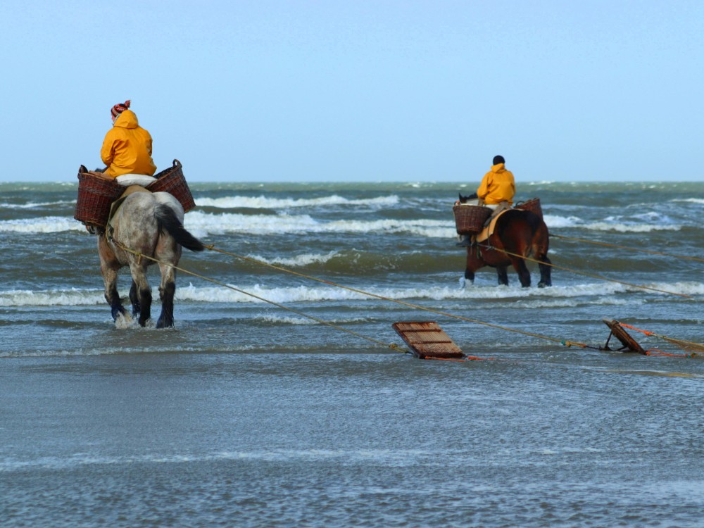 Ontdek Oostduinkerke